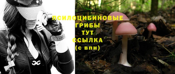 гидропоника Нягань