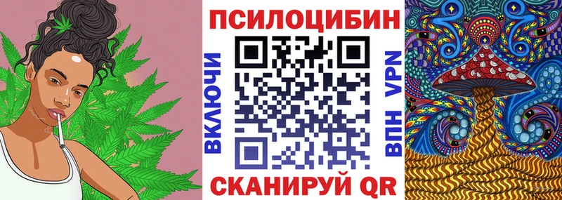 Купить закладки  Унеча  Псилоцибиновые грибы Cubensis 